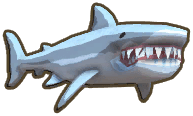 Shark