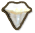 Alpha Shark Tooth