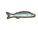 Barracuda