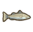 Barramundi