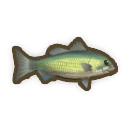 River Bass