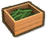 Green Bean Box