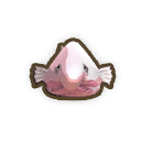 Blob Fish