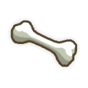 Bone