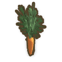 Carrot
