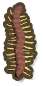 Centipede