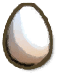 Chicken Egg