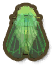 Cicada
