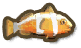 Clown Fish