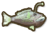 Deep Fish