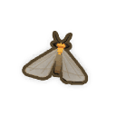 Firefly