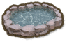 Fish Pond