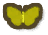 Grass Yellow Butterfly