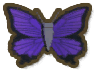 Purple Azure Butterfly