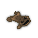 Toad Skin