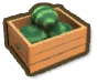 Watermelon Box
