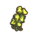 Yellow Wattle Flower