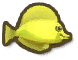 Yellow Tang